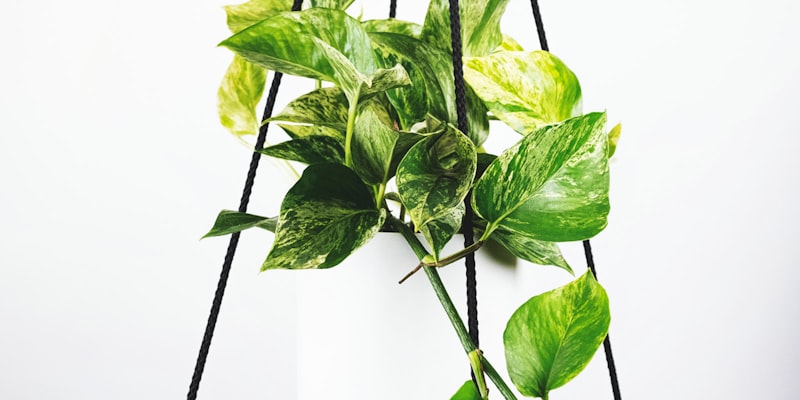 世界杯决赛球场鸟瞰全景照片